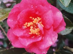 -法华学问寺-停车场