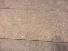 -傣妹火锅(全椒奥康步行街店)