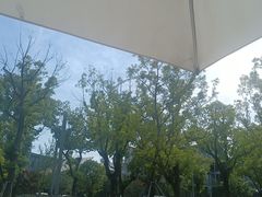 -金鸡湖景区