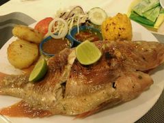 -Onion restaurant