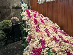 -半岛翡丽海鲜自助餐厅(观风亭店)