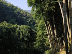 -藏龙百瀑风景区