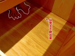 -山之川日料放题(通州店)