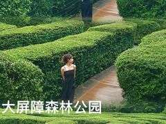 -大屏嶂森林公园