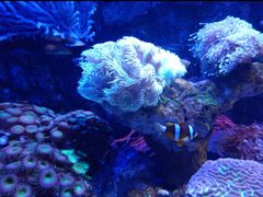 -太平洋海底世界