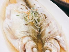 -锦月楼百姓厨房(大箕山商业广场店)