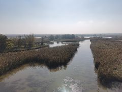-盐城丹顶鹤湿地生态旅游区