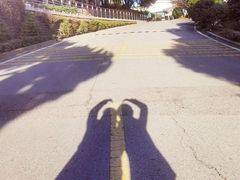 -上海市保健医疗中心