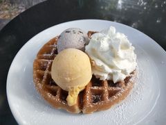 -莓园冰淇淋店