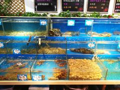 水产区-黄寺蒸汽海鲜(黄寺大街店)
