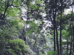 -青城山