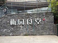 -武汉大学-樱园