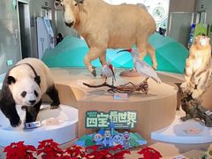 -陕西自然博物馆