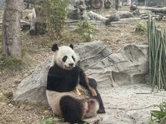 -武汉动物园