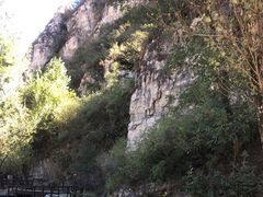 -幽岚山·童话森林