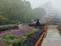 -南山植物园