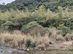 -十八重溪