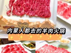 -蒙都43°9羊火锅·赤峰美食(宁城店)