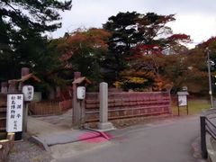 -松岛