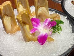 -东海怡品海鲜豆捞(舟宿夜江店)