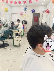 -思密达·烫染设计