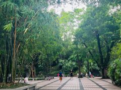 -晓港公园
