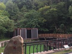 -神光山国家森林公园