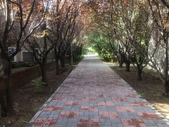 -杨柳青庄园