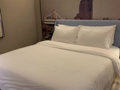 -柏槿酒店(罗湖口岸向西地铁站店)