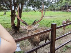 -良渚古城遗址公园