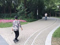 -苏州河梦清园环保主题公园