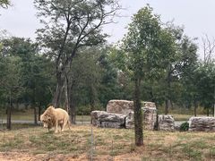 -秦皇岛野生动物园