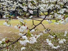 -同济大学(嘉定校区)