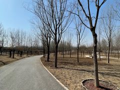 -东郊湿地公园