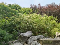 -宜兴龙背山森林公园