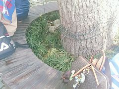 -WeLope紫金山探险公园