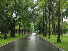 -海珠湖公园