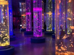 -梦幻海洋王国(吾悦广场张家港店)