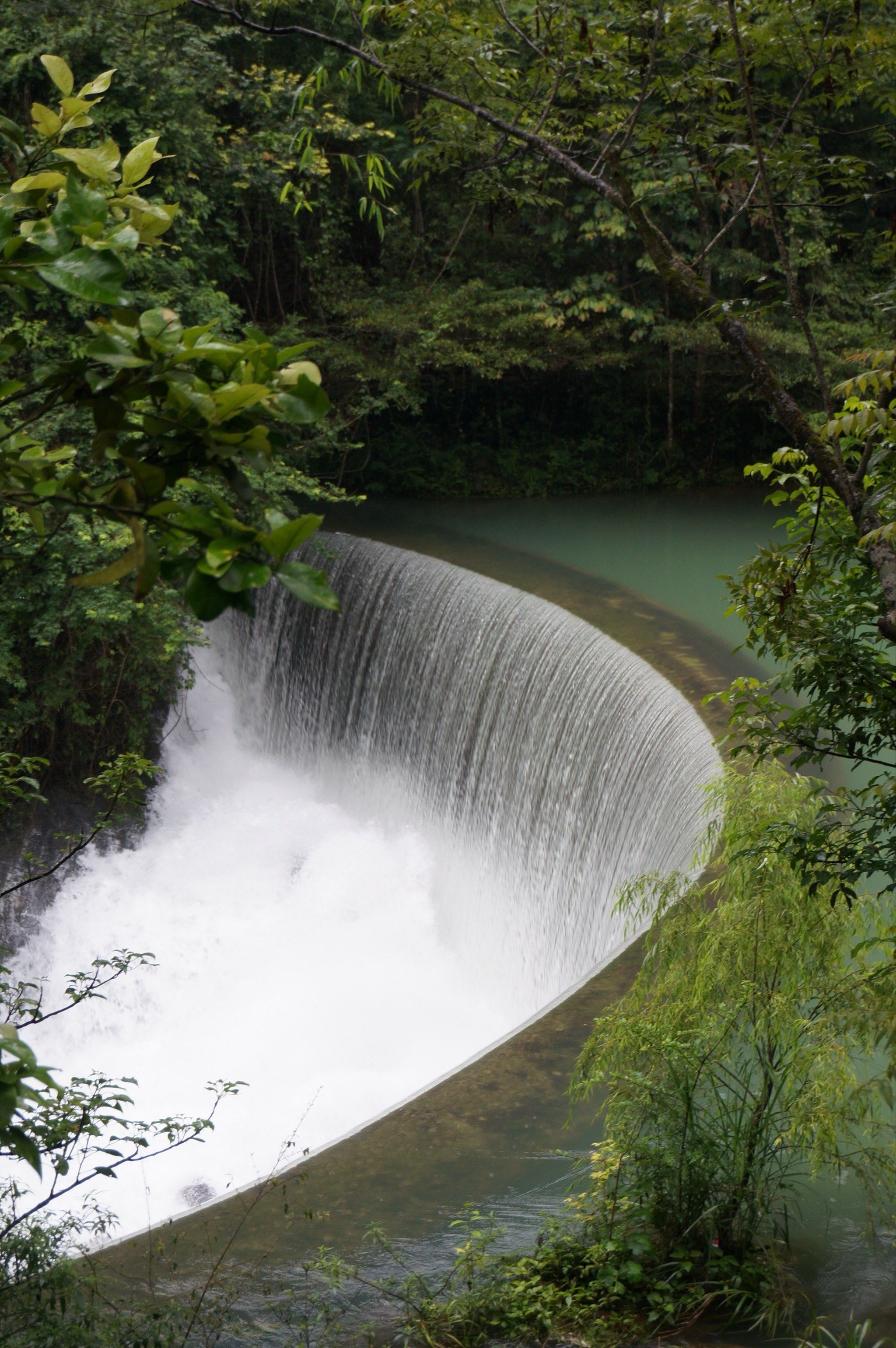 天天领红包

小七孔的卧龙潭是