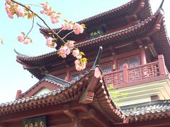 -堤角公园