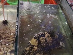 -渔家火锅·海鲜自助餐·演艺(亚龙湾天域酒店)