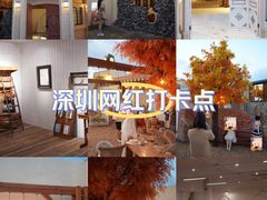 -Blue Concept Cafe&Farm·關於藍