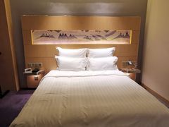 -苏州金鸡湖文博诺富特酒店