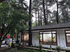 -小小饭店·休闲农庄·安吉松树林里的农家菜