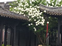 -口岸雕花楼