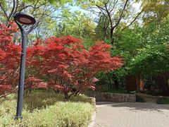 -苏州河梦清园环保主题公园