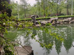 -幕燕滨江·长江观音景区
