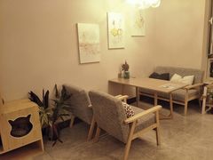 -有猫儿腻咖啡厅.猫咖