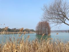 -尚湖风景区