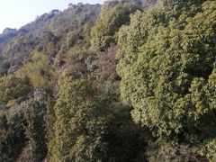 -杭州半山国家森林公园